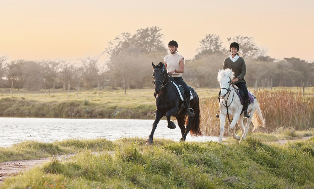 L'équitation est-elle un sport dangereux Comment les cavaliers réduisent les risques grâce aux bons réflexes