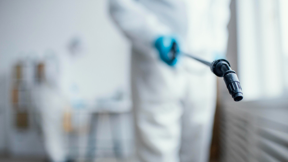 Dératisation dans le Val-d'Oise : intervention professionnelle Technicien dératiseur Val-d'Oise